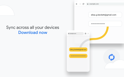 Google Chrome screenshot 5