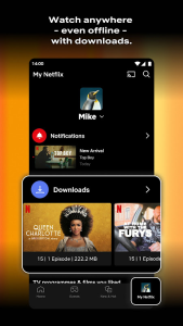 Netflix screenshot 1