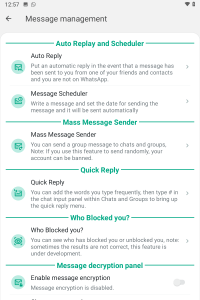 WhatsApp Plus screenshot 2
