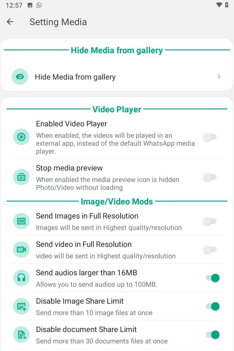 WhatsApp Plus screenshot 3