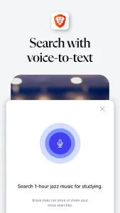 Brave Browser screenshot 5