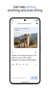 Google Gemini screenshot 1
