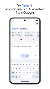 Google Gemini screenshot 2