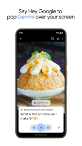 Google Gemini screenshot 8