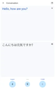 Google Translate screenshot 10