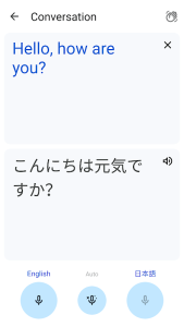 Google Translate screenshot 5