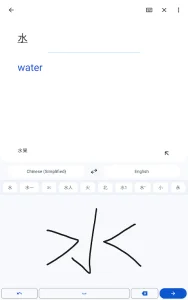 Google Translate screenshot 9