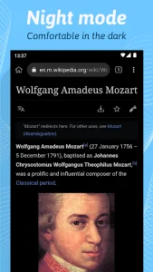 Kiwi Browser screenshot 2
