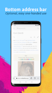 Kiwi Browser screenshot 4
