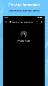 Kiwi Browser screenshot 5