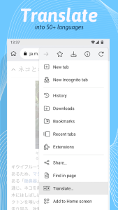 Kiwi Browser screenshot 7