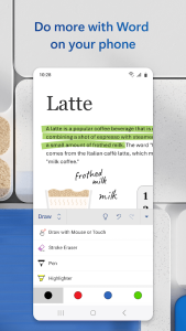 Microsoft Word screenshot 9