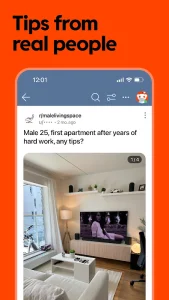 Reddit screenshot 2