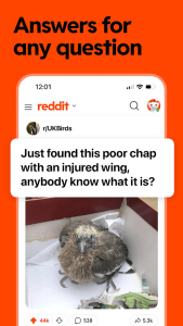 Reddit screenshot 3