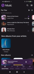 RiMusic screenshot 1