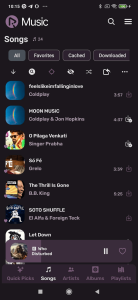 RiMusic screenshot 4