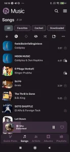 RiMusic screenshot 4