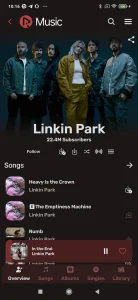 RiMusic screenshot 5