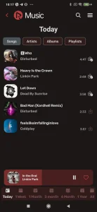 RiMusic screenshot 7