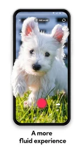 TikTok Lite screenshot 1