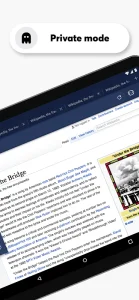 Opera Browser screenshot 6