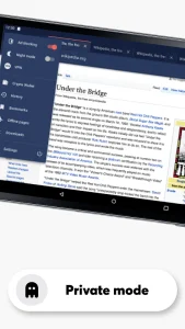 Opera Browser screenshot 9
