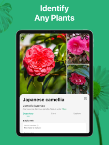 PictureThis screenshot 10