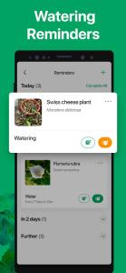 PictureThis screenshot 5