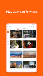 VLC screenshot 9