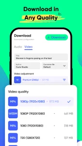 AnyLink XGet Video Downloader screenshot 2